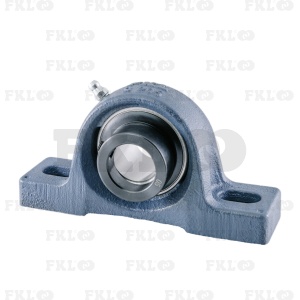 Подшипниковый узел LYS205-2F